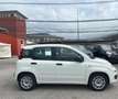 Fiat Panda 1.3 MJT 95 CV S&S Easy Beige - thumbnail 4
