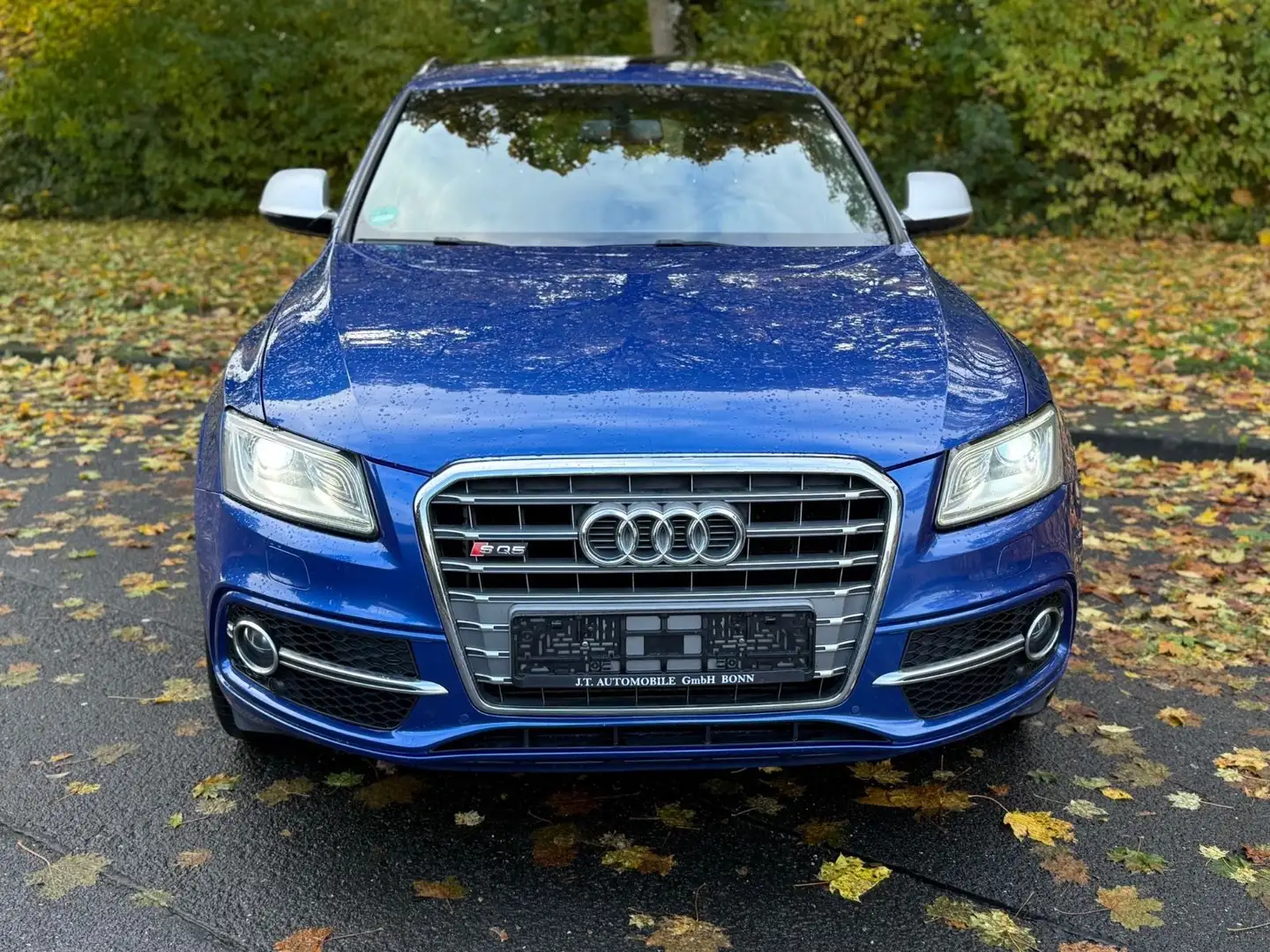 Audi SQ5 3.0 TDI competition quattro,PANORAMA Blau - 2