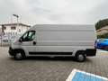 Citroen Jumper 33q BlueHDi 140cv L3H2 KM ZERO Bianco - thumbnail 4