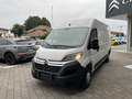 Citroen Jumper 33q BlueHDi 140cv L3H2 KM ZERO Bianco - thumbnail 3