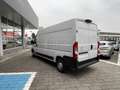 Citroen Jumper 33q BlueHDi 140cv L3H2 KM ZERO Bianco - thumbnail 5