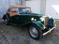 MG TD Ez 1952, restauriert, sehr schöne Optik Grün - thumbnail 3