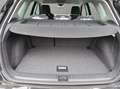 SEAT Arona Road Edition 1.0 TSI 116 PS 7-Gang-DSG Negro - thumbnail 19