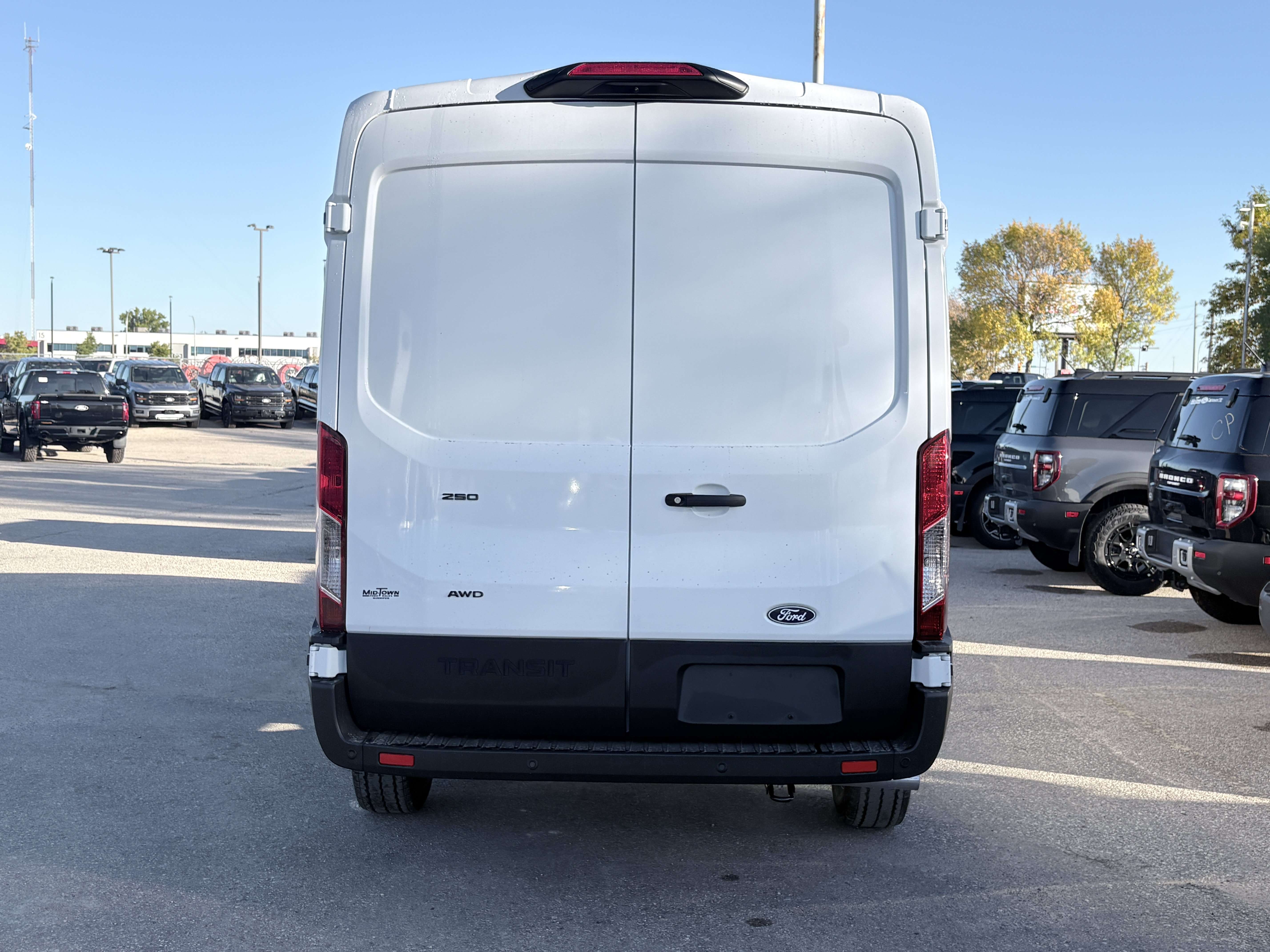Image 8