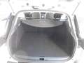 Renault Clio Clio Sporter 1.5 dci energy Zen EURO 6B NO BLOCCHI Plateado - thumbnail 27