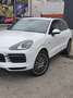 Porsche Cayenne Cayenne III E-Hybrid PHEV 17,9 kWh Platinum Edition Aut. Weiß - thumbnail 6