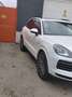 Porsche Cayenne Cayenne III E-Hybrid PHEV 17,9 kWh Platinum Edition Aut. Weiß - thumbnail 2