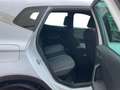 SEAT Arona - 05/2024 9.994 KMS Xperience 1.0 TSI 115CH Blanc - thumbnail 2