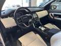 Land Rover Discovery Sport Discovery Sport 2.0d td4 mhev R-Dynamic awd 163cv - thumbnail 12
