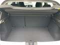 Dacia Sandero III Stepway Extreme TCe 110 inkl. Winter Blanc - thumbnail 15