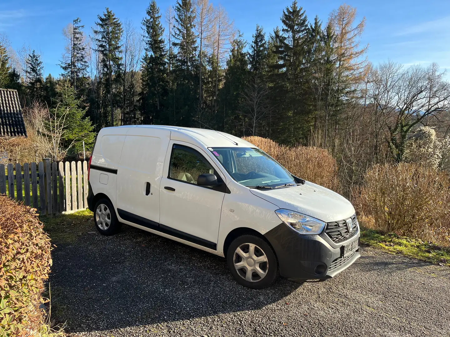 Dacia Dokker SD/8SDPJ/8SDPJ5 Weiß - 1
