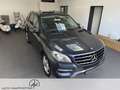 Mercedes-Benz ML 350 ML 350 CDI DPF 4MATIC BlueTec AHK. Schwenkbar Grau - thumbnail 8