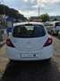 Opel Corsa 3p 1.3 cdti Autocarro 2 posti con 535.000km Neopat - thumbnail 6