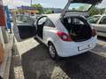 Opel Corsa 3p 1.3 cdti Autocarro 2 posti con 535.000km Neopat - thumbnail 11