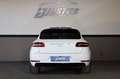 Porsche Macan 2.0 AWD/AIRMATIC/BOSÉ/PANO/4xSHZ/SBL/R20 Weiß - thumbnail 5