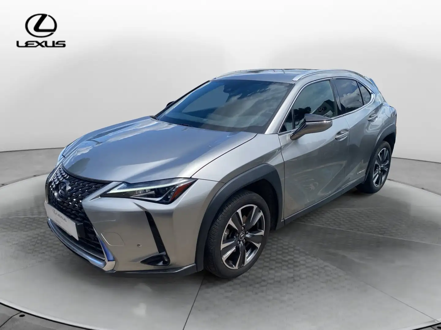 Lexus UX 250h Hybrid Executive Grigio - 1