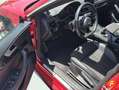 Audi A5 2.0 TDI 140kW (190CV) S tronic Sportback Rojo - thumbnail 12