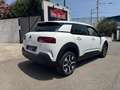 Citroen C4 Cactus C4 Cactus 1,2L 110ch Shine PHASE 2 Bianco - thumbnail 9