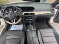 Mercedes-Benz C 250 CDI AMG-SPORTPAKET*LEDER*NAVI*PDC Blanc - thumbnail 12