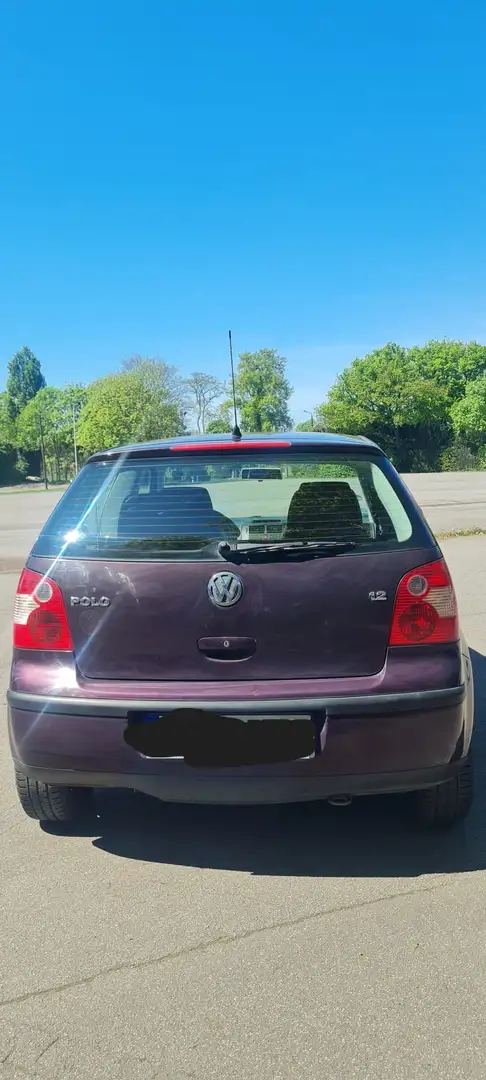 Volkswagen Polo Polo 1.2 Mauve - 2