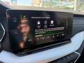 Skoda Octavia Style TDI DSG Silber - thumbnail 10