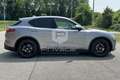 Alfa Romeo Stelvio Stelvio 2.2 Turbodiesel 180 CV AT8 RWD Executive Argento - thumbnail 4