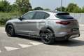 Alfa Romeo Stelvio Stelvio 2.2 Turbodiesel 180 CV AT8 RWD Executive Argento - thumbnail 7
