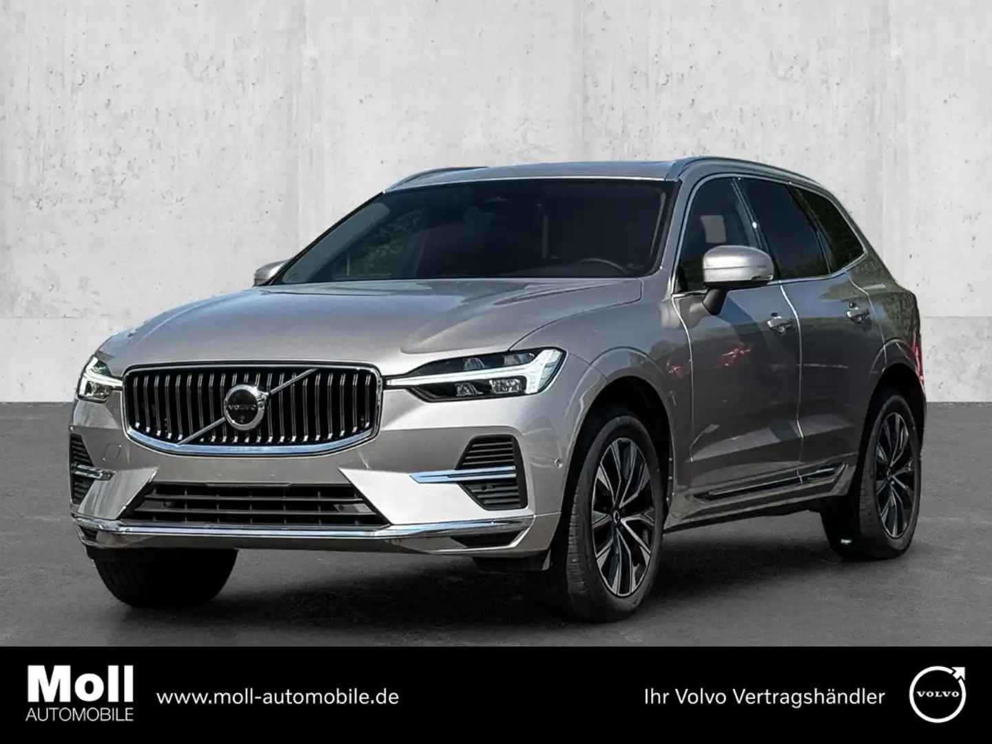 Volvo XC60 Plus Bright 2WD B4 Benzin EU6d digitales Cockpit M Šedá - 1