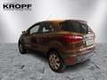 Ford EcoSport 1.0 EcoBoost Trend SHZ+Winterp.+KlimaA Braun - thumbnail 6