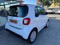 smart forTwo EQ Youngster, FRONT RADAR, PRONTA CONSEGNA Bianco - thumbnail 7