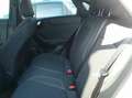 Ford Puma 1.5 Ecoblue 120cv Titanium Weiß - thumbnail 9