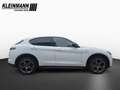 Alfa Romeo Stelvio Veloce 2.0 TB (280 PS) AT8 - Q4 Blanc - thumbnail 5
