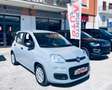 Fiat Panda 1.0 FireFly S&S Hybrid Easy Grigio - thumbnail 14