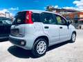 Fiat Panda 1.0 FireFly S&S Hybrid Easy Grigio - thumbnail 5