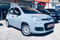 Fiat Panda 1.0 FireFly S&S Hybrid Easy Grigio - thumbnail 15