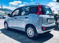 Fiat Panda 1.0 FireFly S&S Hybrid Easy Grigio - thumbnail 3