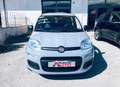 Fiat Panda 1.0 FireFly S&S Hybrid Easy Gris - thumbnail 19