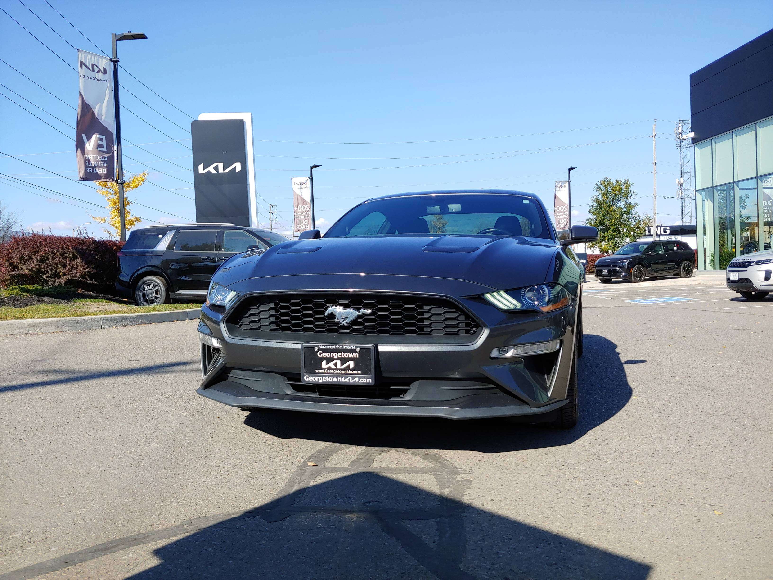 2019 Ford Mustang
