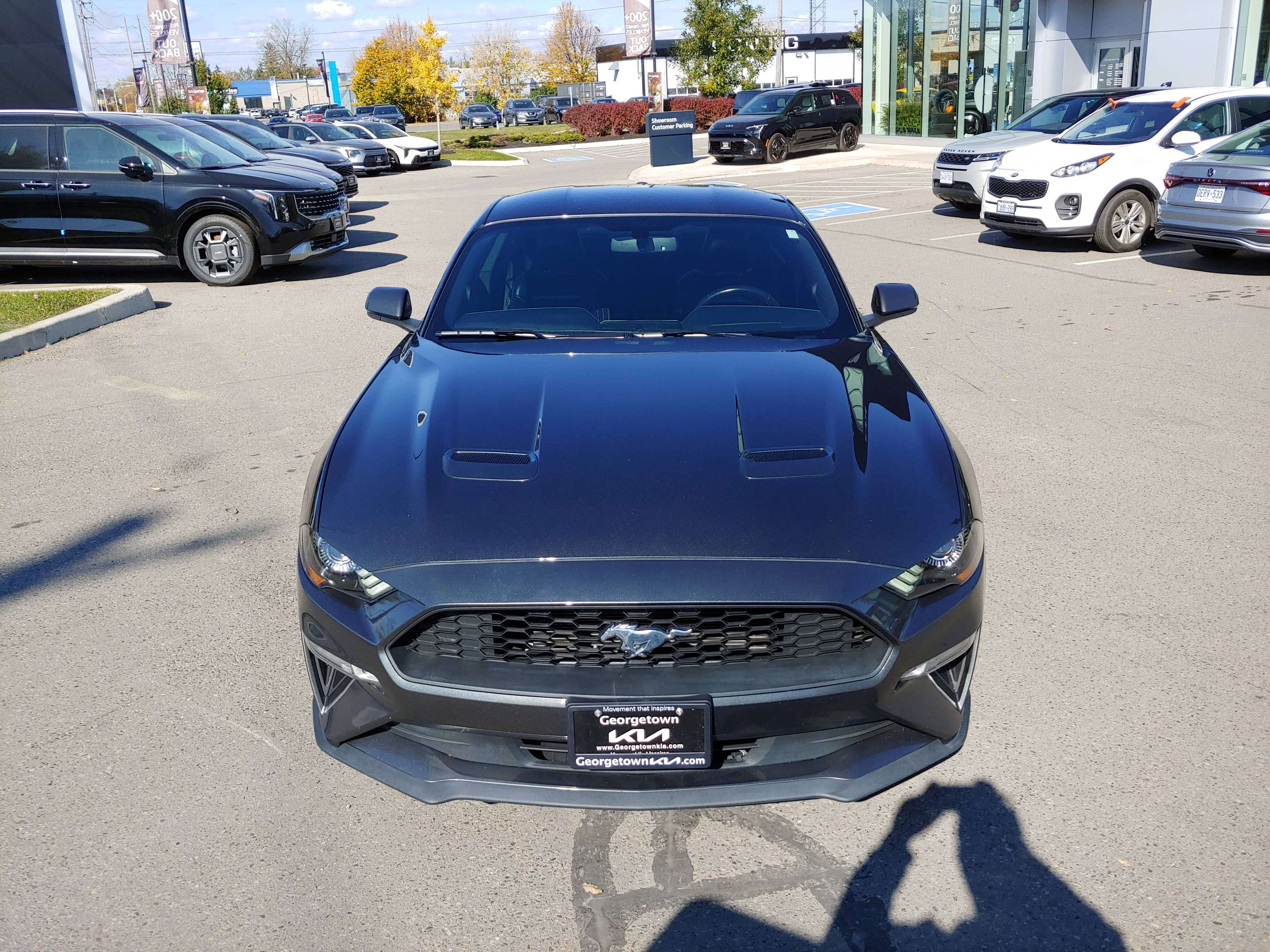 2019 Ford Mustang
