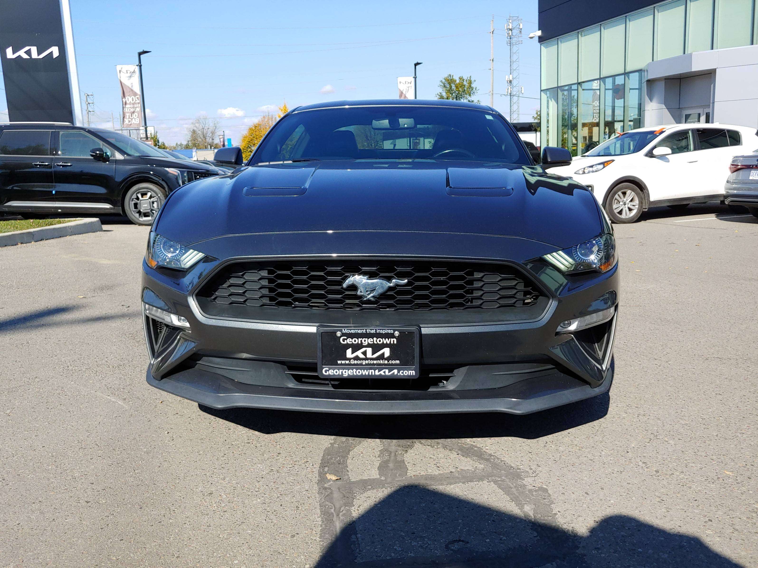 2019 Ford Mustang