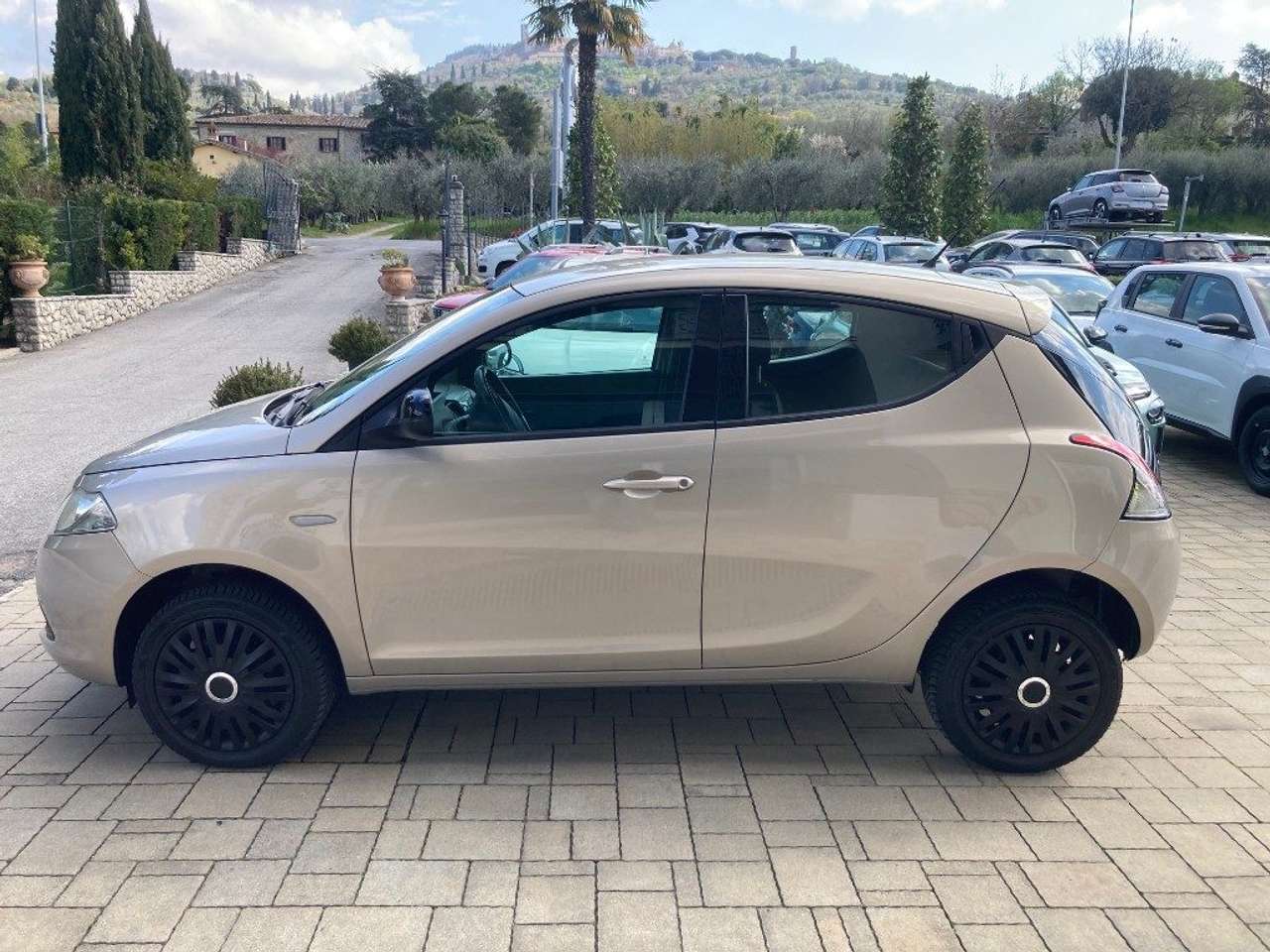 Lancia Ypsilon 0.9 TwinAir 85 CV 5 porte Metano Ecochic Elefantin