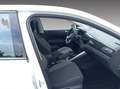 Volkswagen Polo 1.0 TSI Life *LED*KLIMA*SHZ* White - thumbnail 9