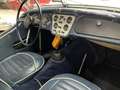 Triumph TR3 TR3 A Blanc - thumbnail 11