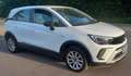 Opel Crossland X Crossland X 1.5 D 120 ch BVA6 Opel 2020 Blanc - thumbnail 7
