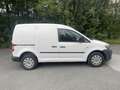 Volkswagen Caddy 2,0 TDI 4MOTION *(4x4)* Weiß - thumbnail 6