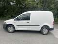 Volkswagen Caddy 2,0 TDI 4MOTION *(4x4)* Weiß - thumbnail 5