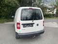 Volkswagen Caddy 2,0 TDI 4MOTION *(4x4)* Weiß - thumbnail 3