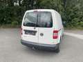 Volkswagen Caddy 2,0 TDI 4MOTION *(4x4)* Weiß - thumbnail 4