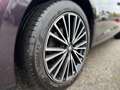 SEAT Leon Xcellence 8xbereift Violett - thumbnail 13