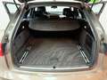 Audi A6 Avant 3.0 TDI S-LINE SPORT/LEDER/NAVI/BOSE/ Gris - thumbnail 14